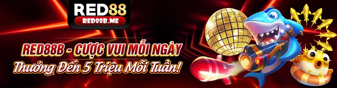 Tải Kingbet App nhận ưu đãi