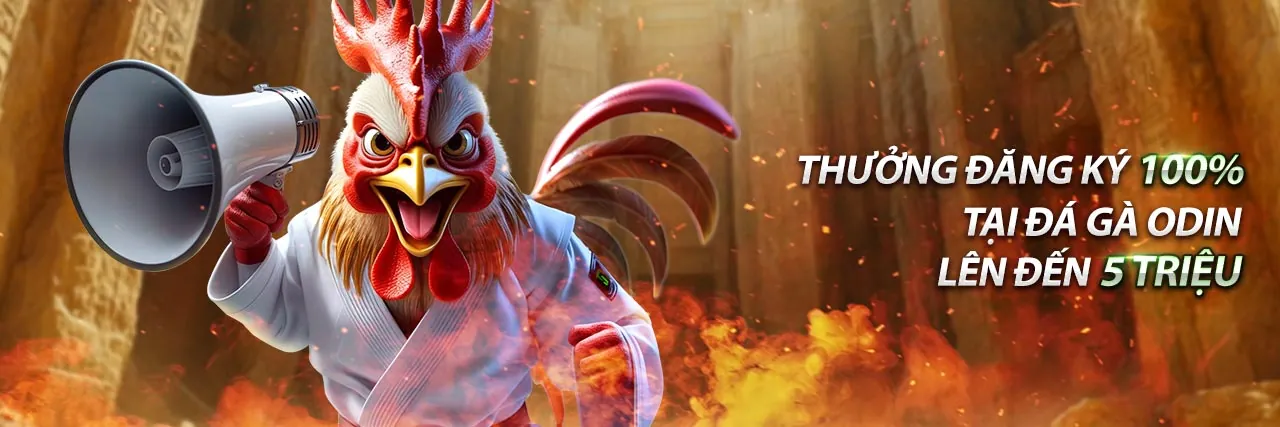 Dịch vụ hỗ trợ khách hàng 24/7 của Kingbet App
