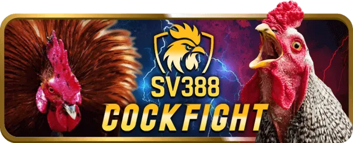 Đội ngũ hỗ trợ khách hàng Kingbet App 24/7